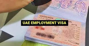 Employment Visa